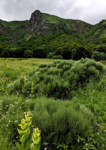 CM1_CM2_Auvergne_2024_07_04_5