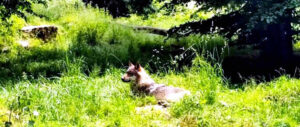 CE2_CM1_Parc_Sainte_Croix_8