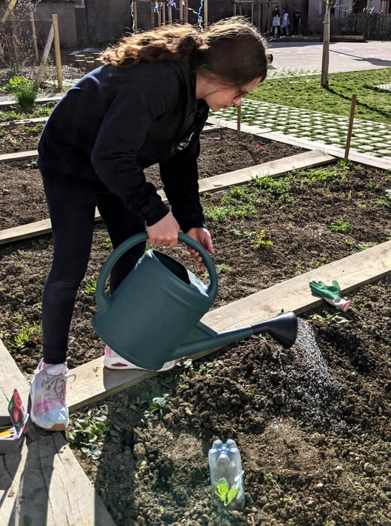 Jardin_Primaire_2025_03_20_5