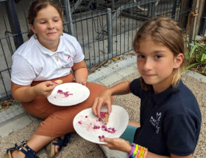 Primaire_Atelier_Cuisine_06_26_12