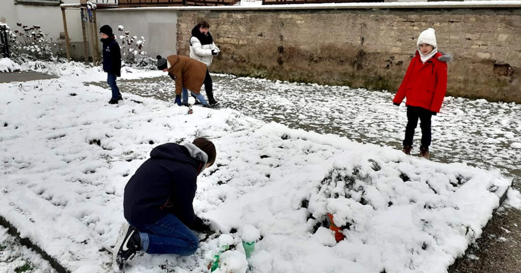 Primaire_Jardin_2024_11_22_11