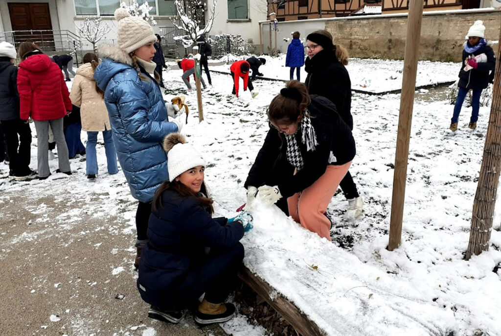 Primaire_Jardin_2024_11_22_14