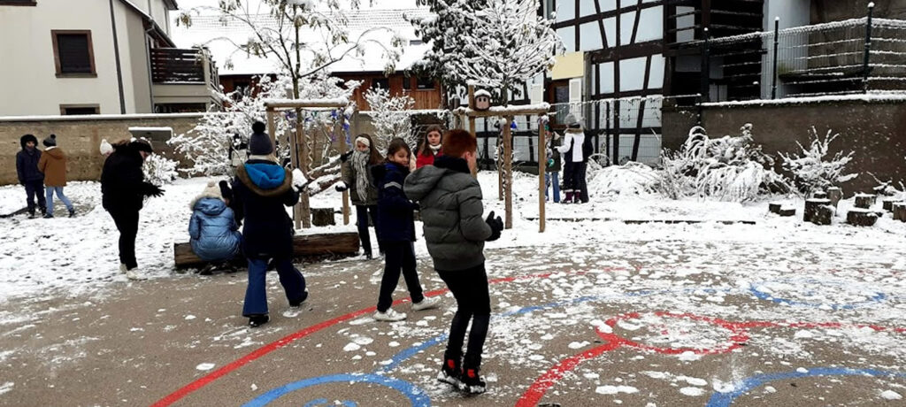 Primaire_Jardin_2024_11_22_15