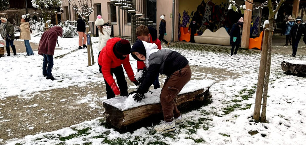 Primaire_Jardin_2024_11_22_9