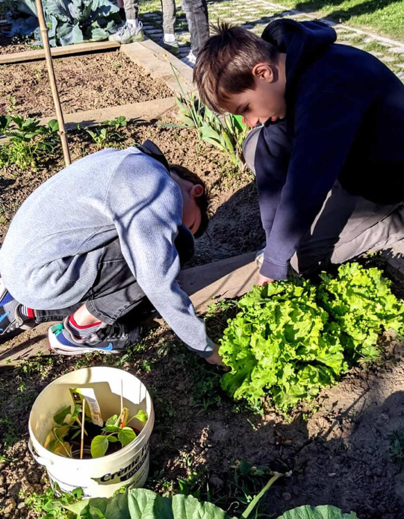 Primaire_Jardin_2025_05_16_4