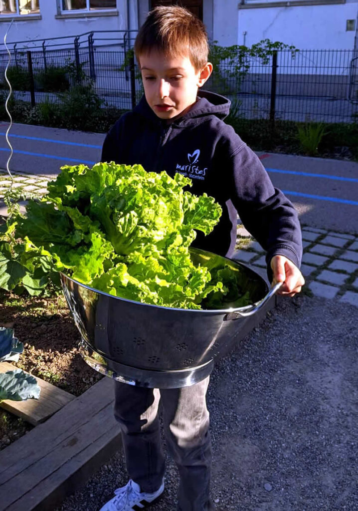 Primaire_Jardin_2025_05_16_6