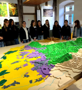 5A_5D_Andlau_Seigneurie_13