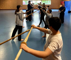 5D_Kendo_2