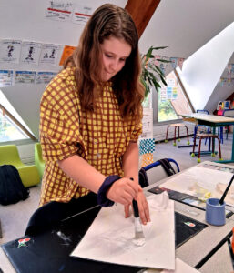 Arts_Plastiques_Primaire_6A_Vitrail_13