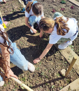 CE2_CM1_Bricolage_Paques_Jardin_14
