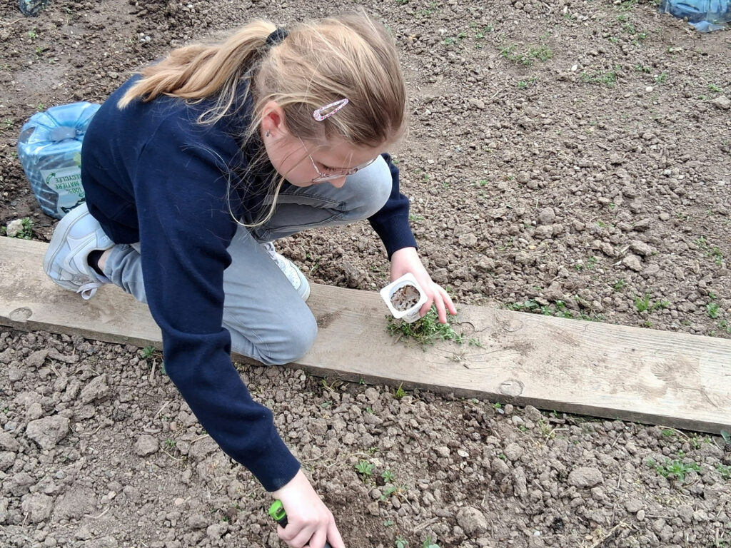 CM1_CM2_Jardin_Sciences_14