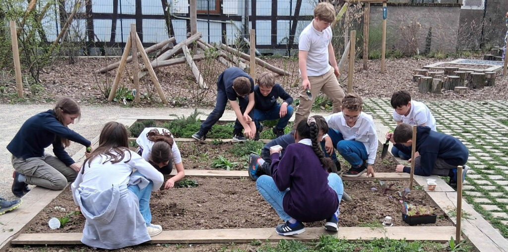 CM1_CM2_Jardin_Sciences_16