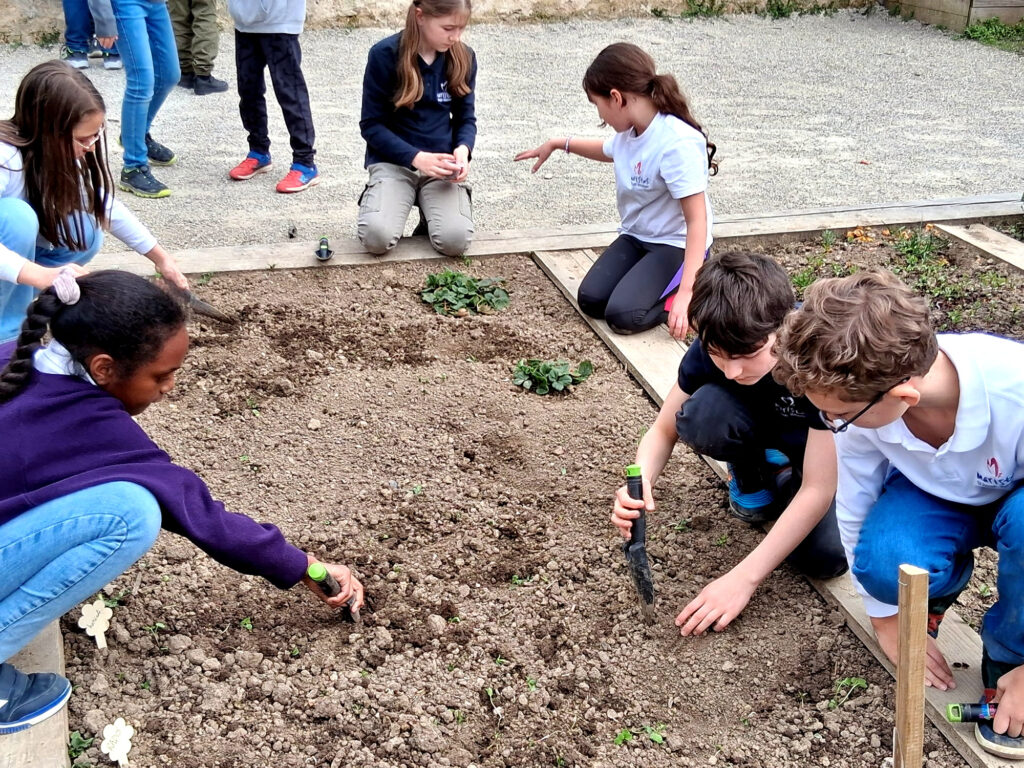 CM1_CM2_Jardin_Sciences_17