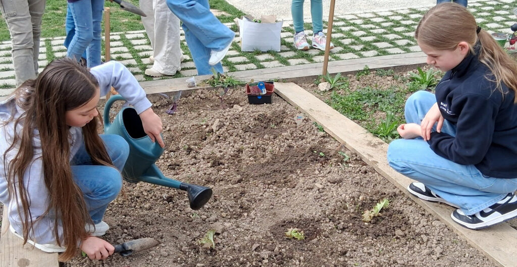 CM1_CM2_Jardin_Sciences_18