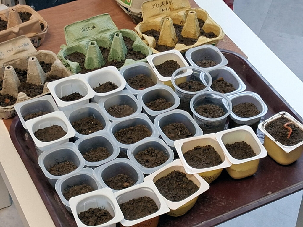 CM1_CM2_Jardin_Sciences_19