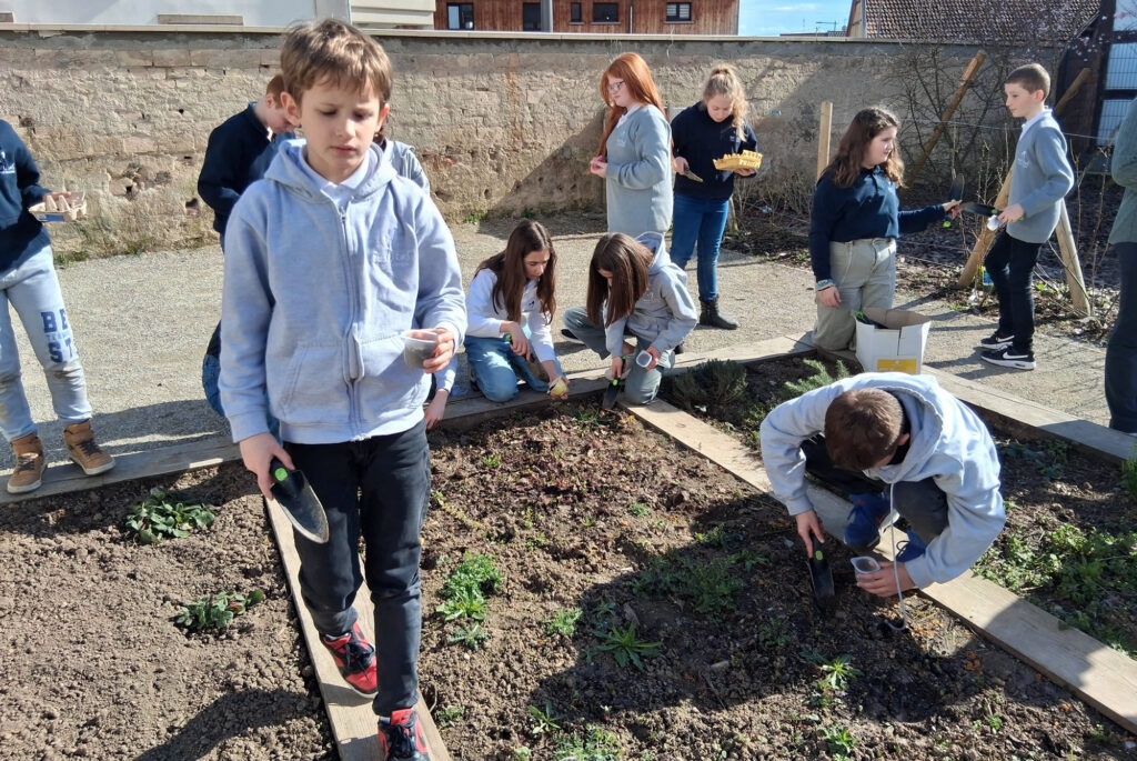 CM1_CM2_Jardin_Sciences_2
