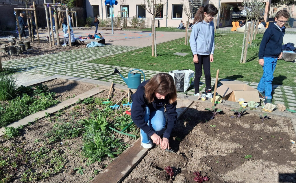CM2_Jardin_(15)