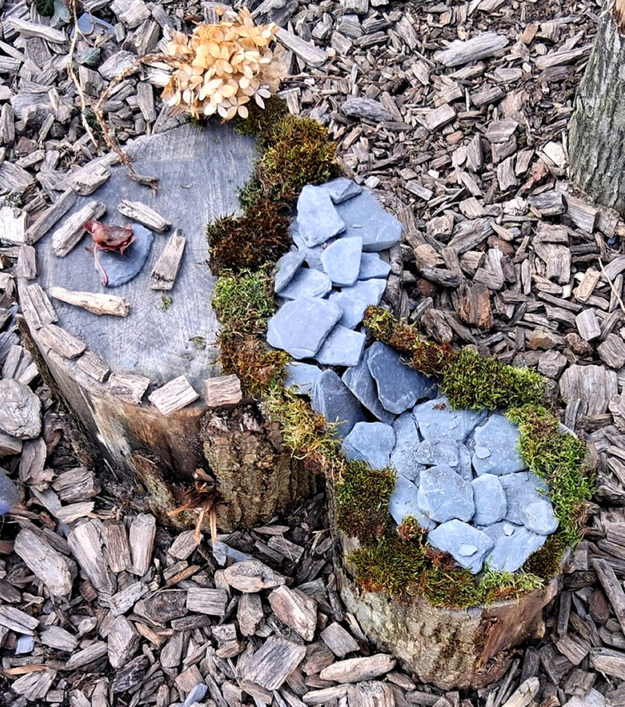 CM2_Jardin_(20)