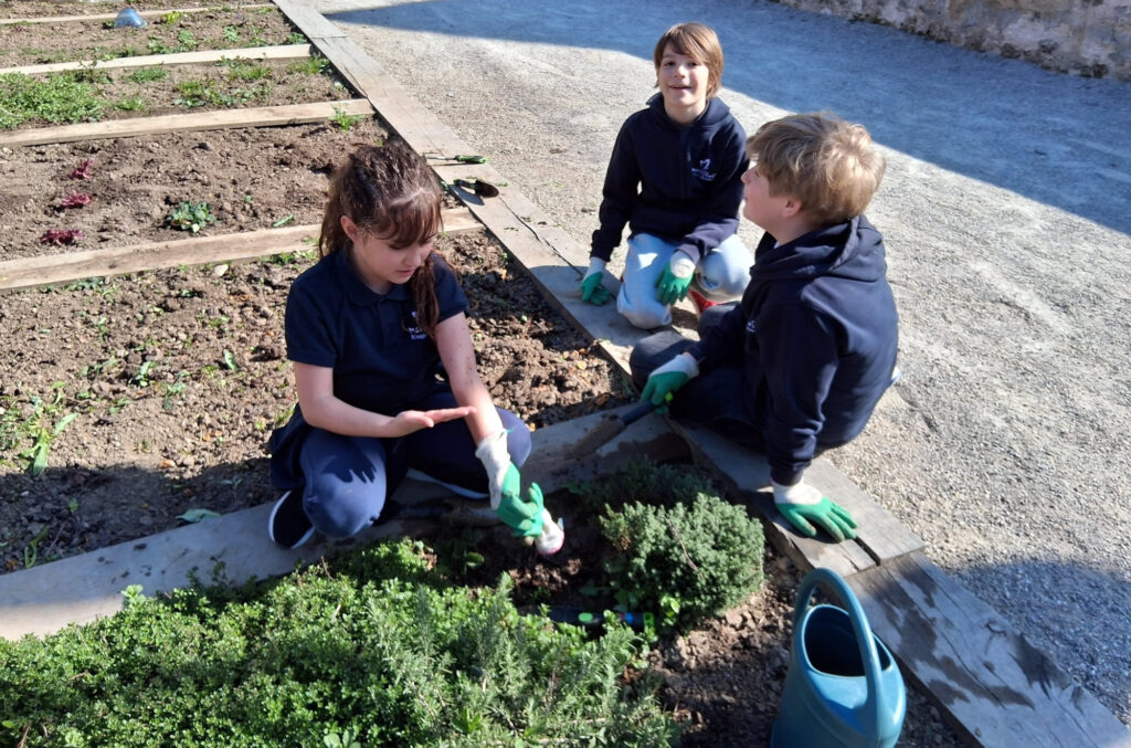 CM2_Jardin_(28)
