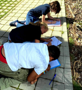 CM1_CM2_Activites_Primaire_10