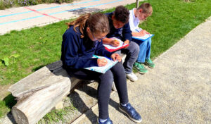 CM1_CM2_Activites_Primaire_20