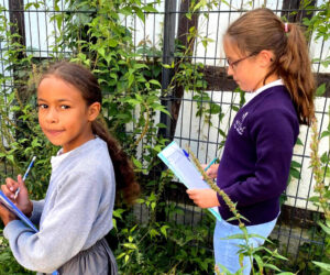 CM1_CM2_Activites_Primaire_9