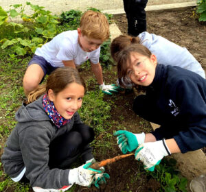 Primaire_Jardin_2025_09_30_1