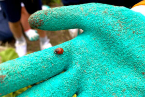 Primaire_Jardin_2025_09_30_14