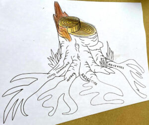 Primaire_Jardin_2025_09_30_16