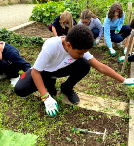 Primaire_Jardin_2025_09_30_3