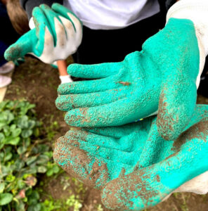 Primaire_Jardin_2025_09_30_6