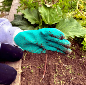 Primaire_Jardin_2025_09_30_7