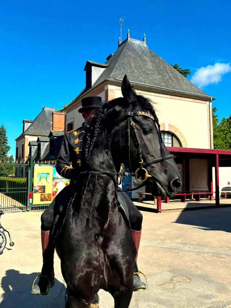 Primaire_Chateaux_Loire_Cheverny_(124)
