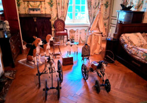 Primaire_Chateaux_Loire_Cheverny_(53)