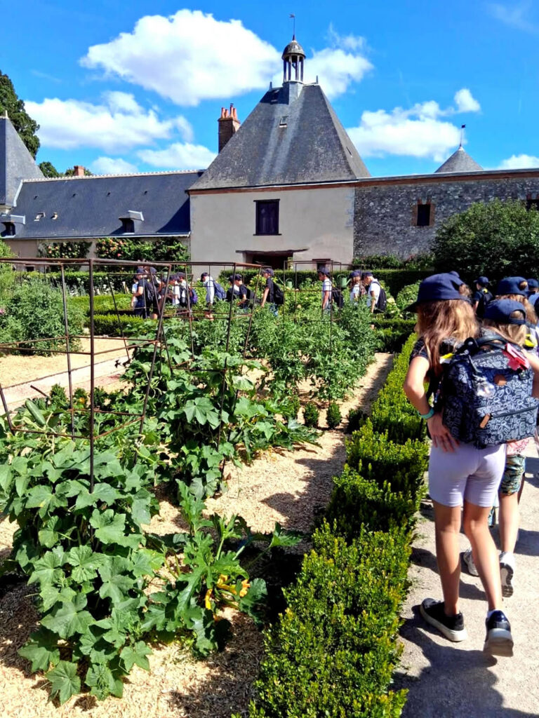 Primaire_Chateaux_Loire_Cheverny_(70)
