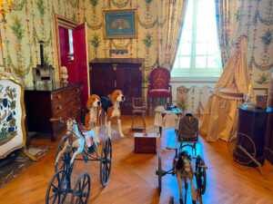 Primaire_Chateaux_Loire_Cheverny_(89)