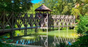 Primaire_Chateaux_Loire_Clos_Luce_139