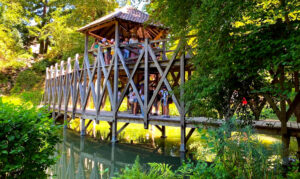 Primaire_Chateaux_Loire_Clos_Luce_148